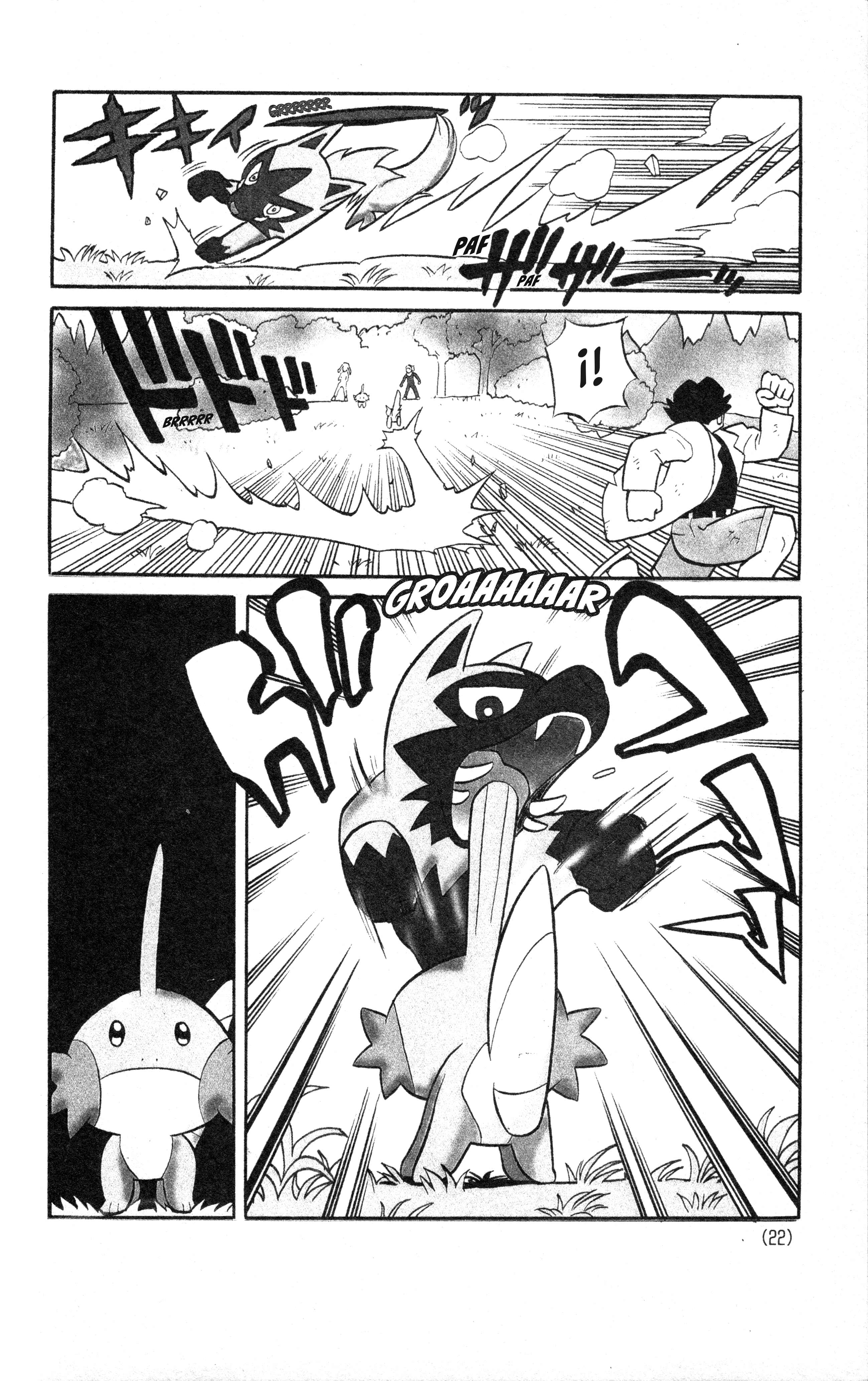 Pokémon Ruby & Sapphire: Spectacular Manga! Oneshot 第22页