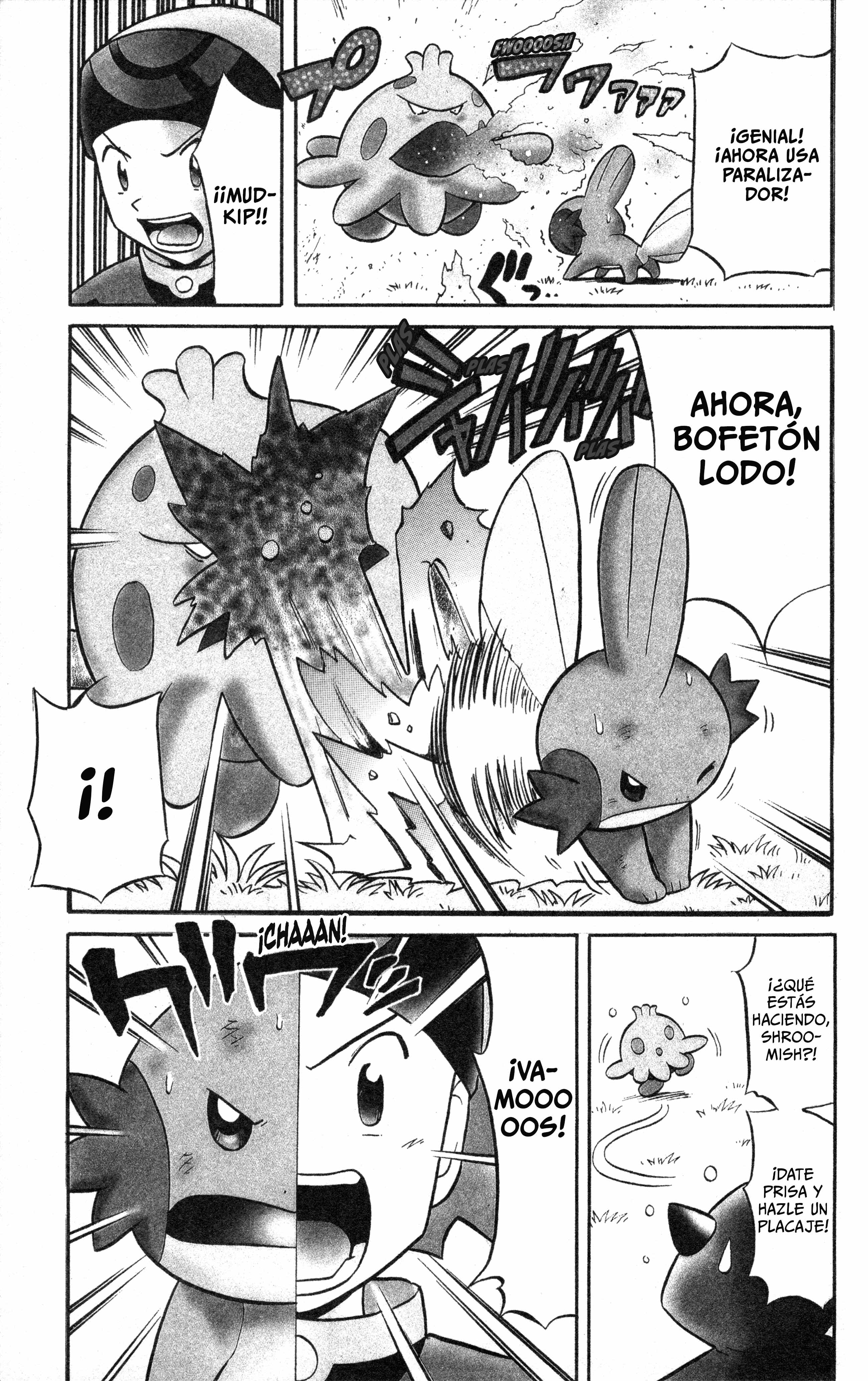 Pokémon Ruby & Sapphire: Spectacular Manga! Oneshot 第47页