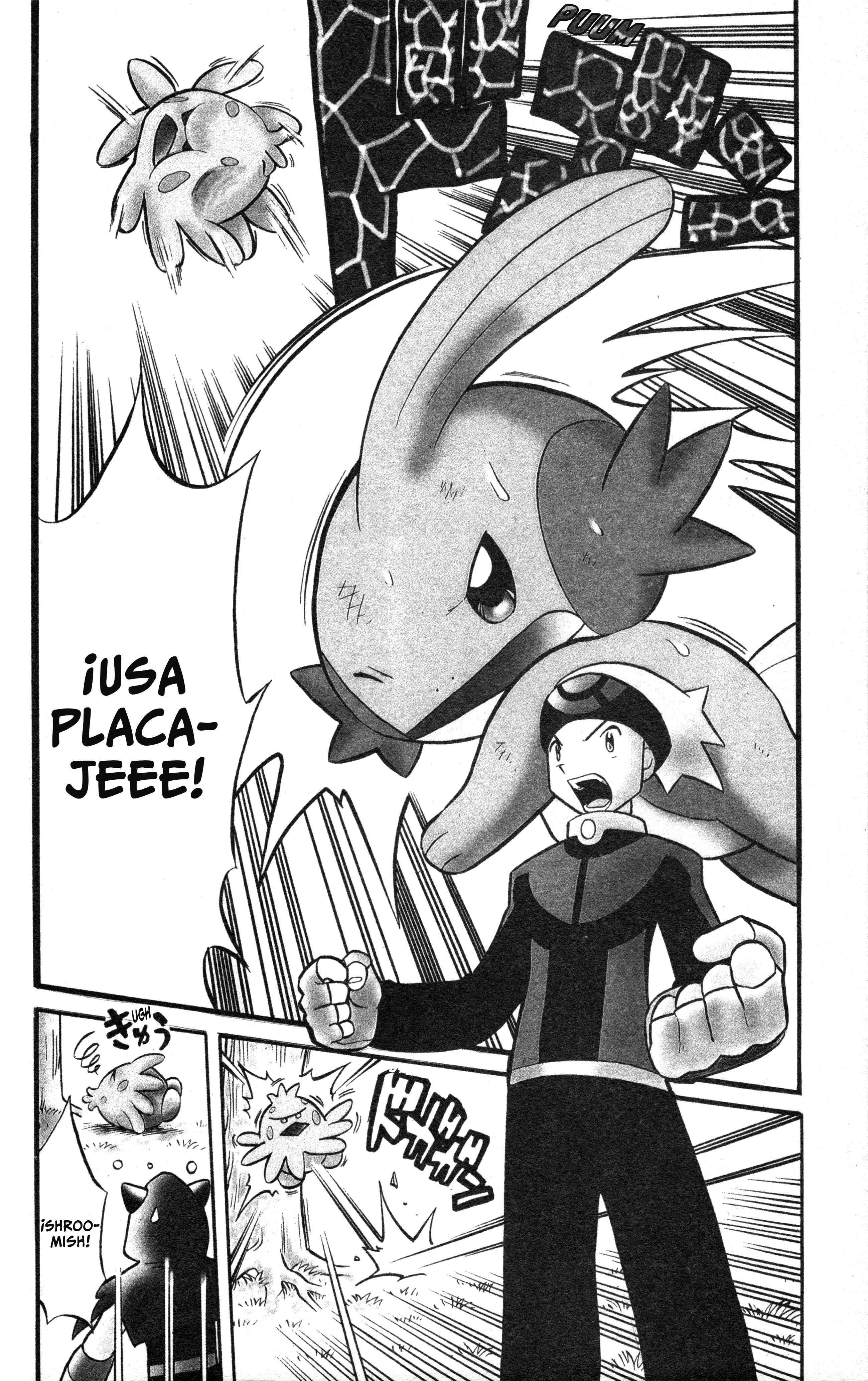 Pokémon Ruby & Sapphire: Spectacular Manga! Oneshot 第48页