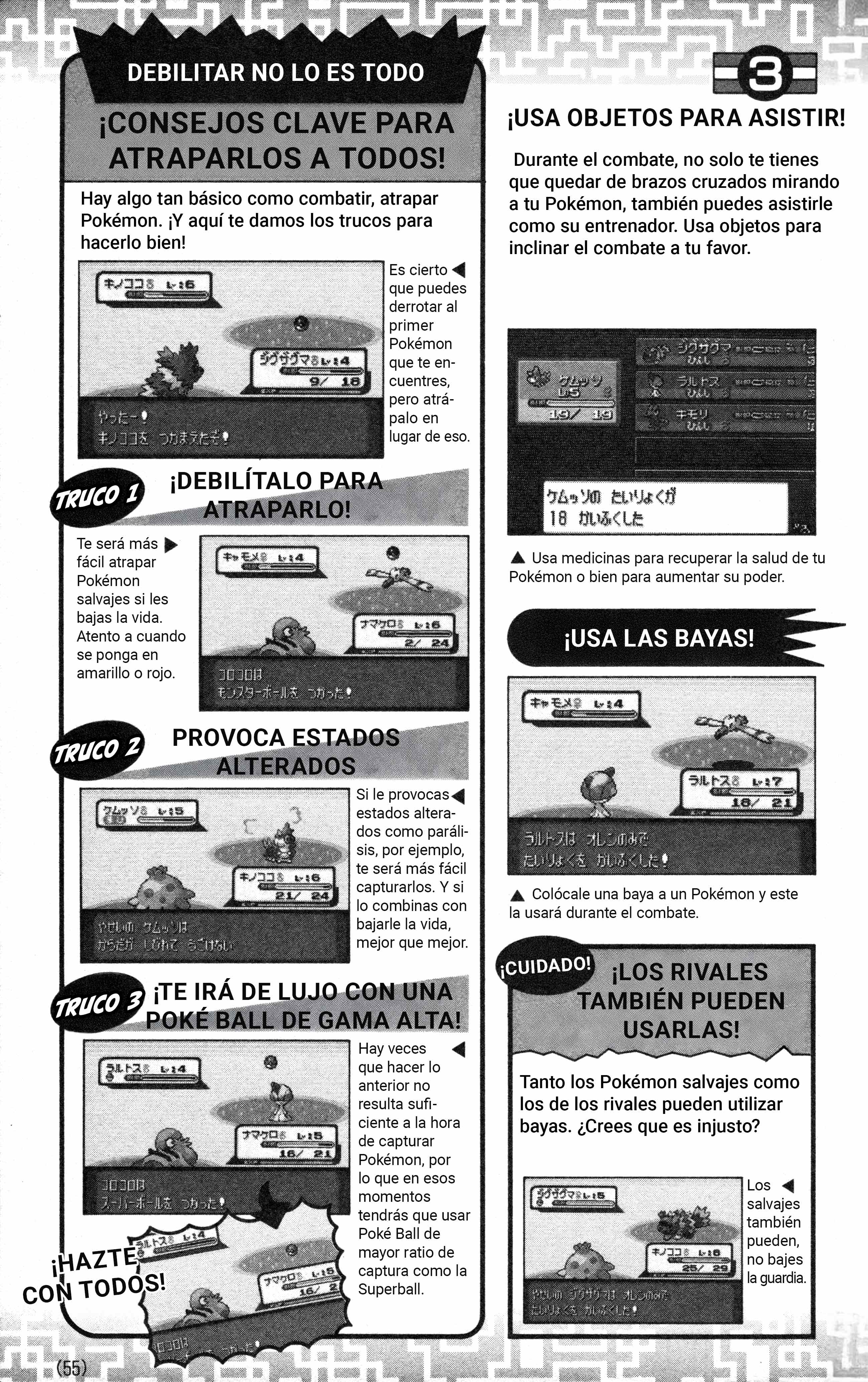 Pokémon Ruby & Sapphire: Spectacular Manga! Oneshot 第55页