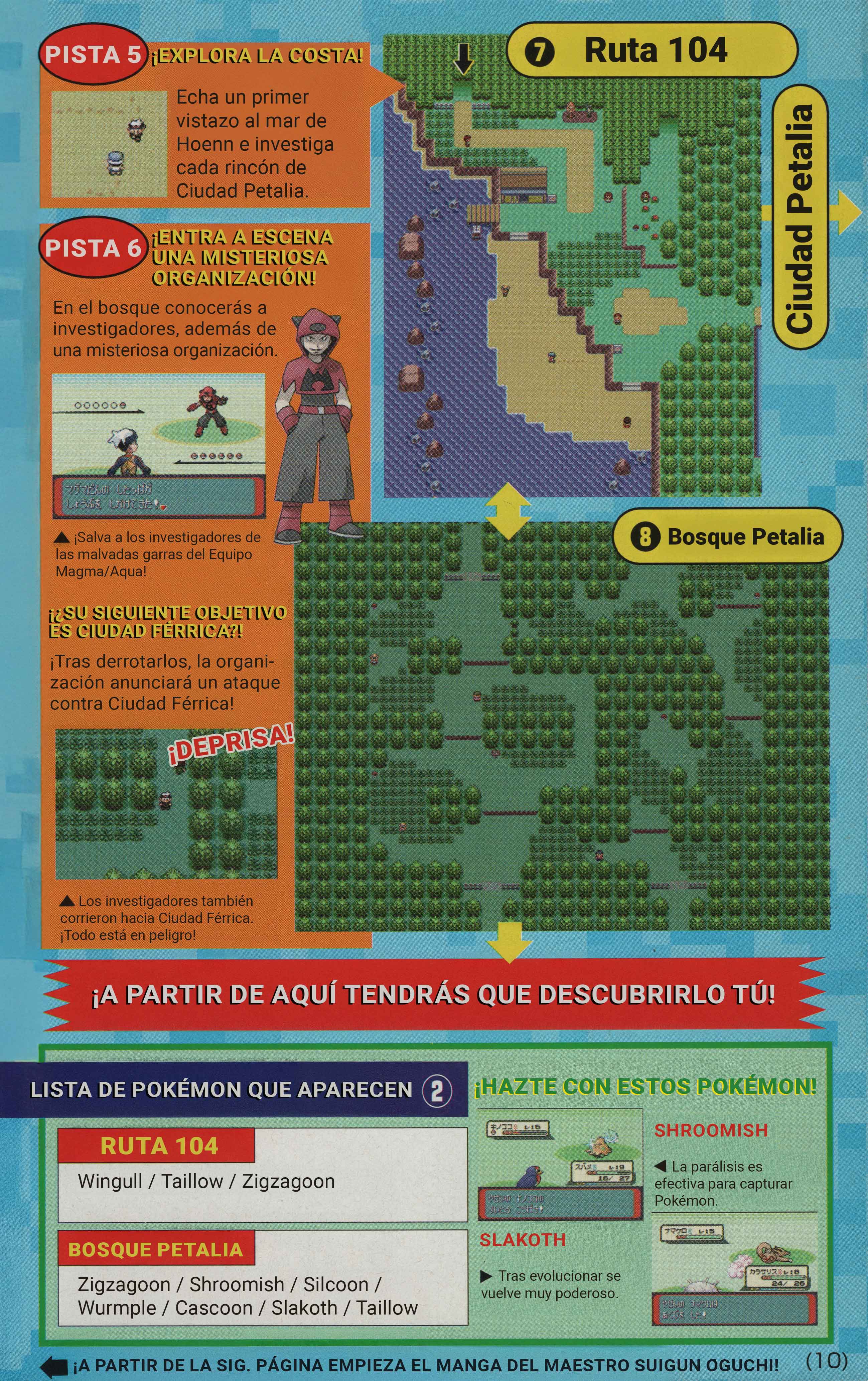 Pokémon Ruby & Sapphire: Spectacular Manga! Oneshot 第10页