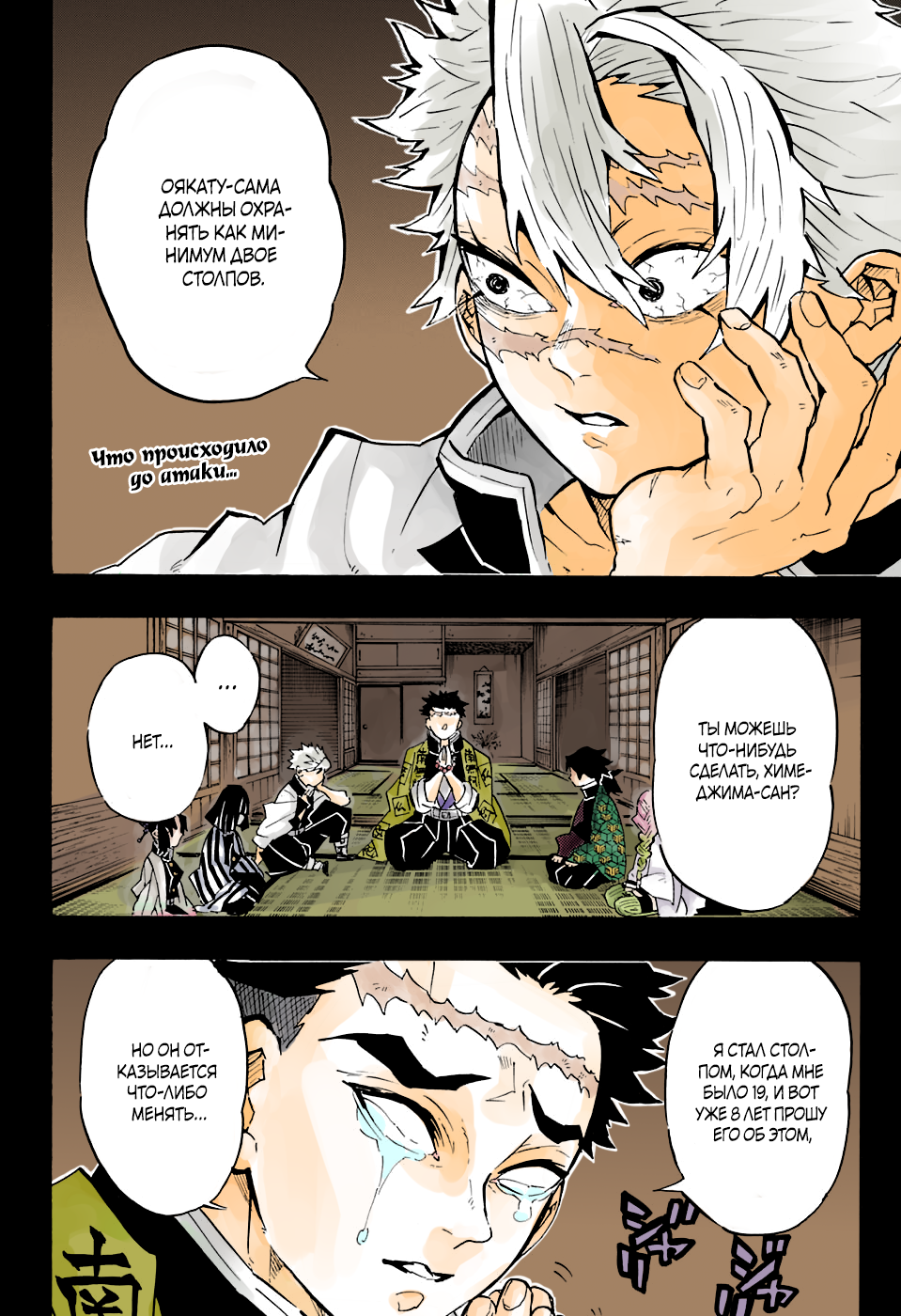 Demon Slayer: Kimetsu no Yaiba (Official Colored) 第3页
