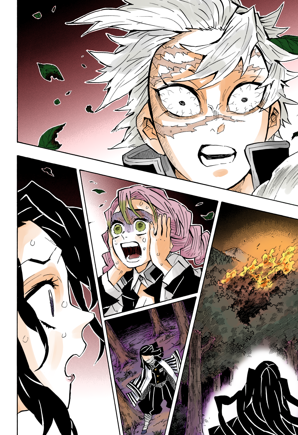 Demon Slayer: Kimetsu no Yaiba (Official Colored) 第6页