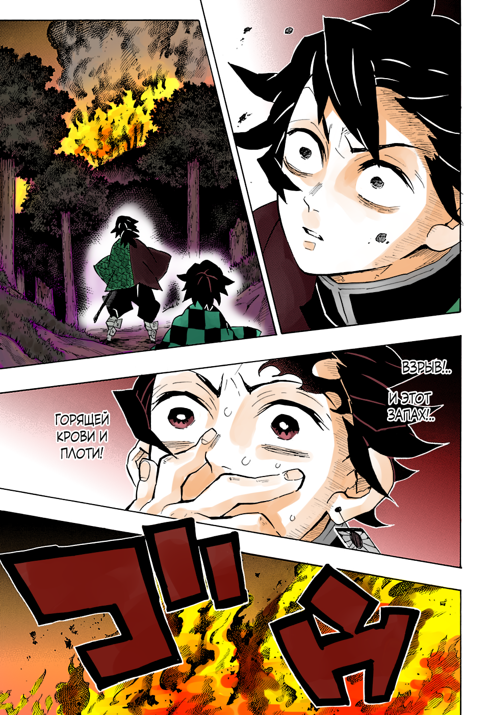 Demon Slayer: Kimetsu no Yaiba (Official Colored) 第7页