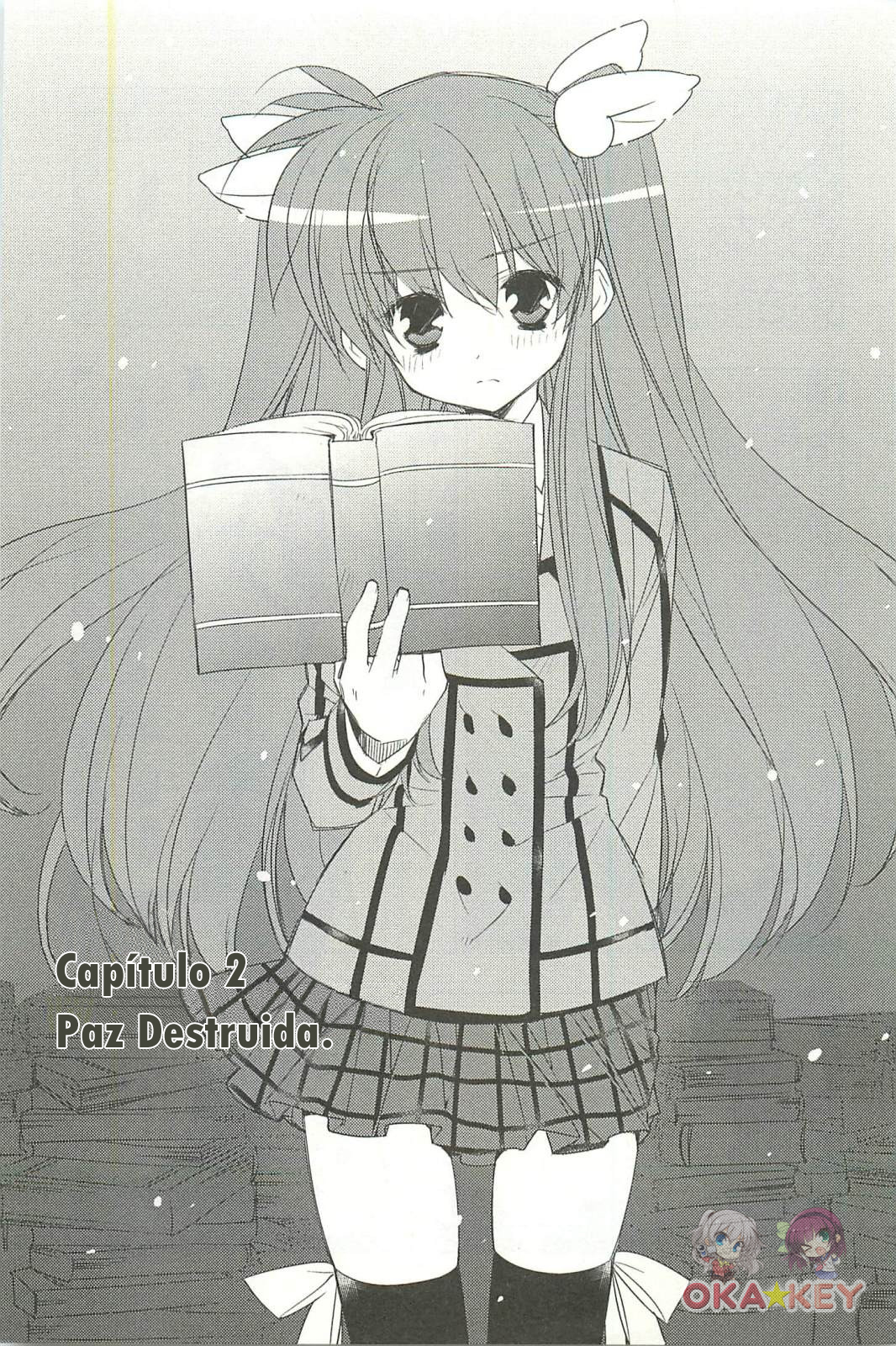 Rewrite: SIDE-B Paz Destruida 第1页