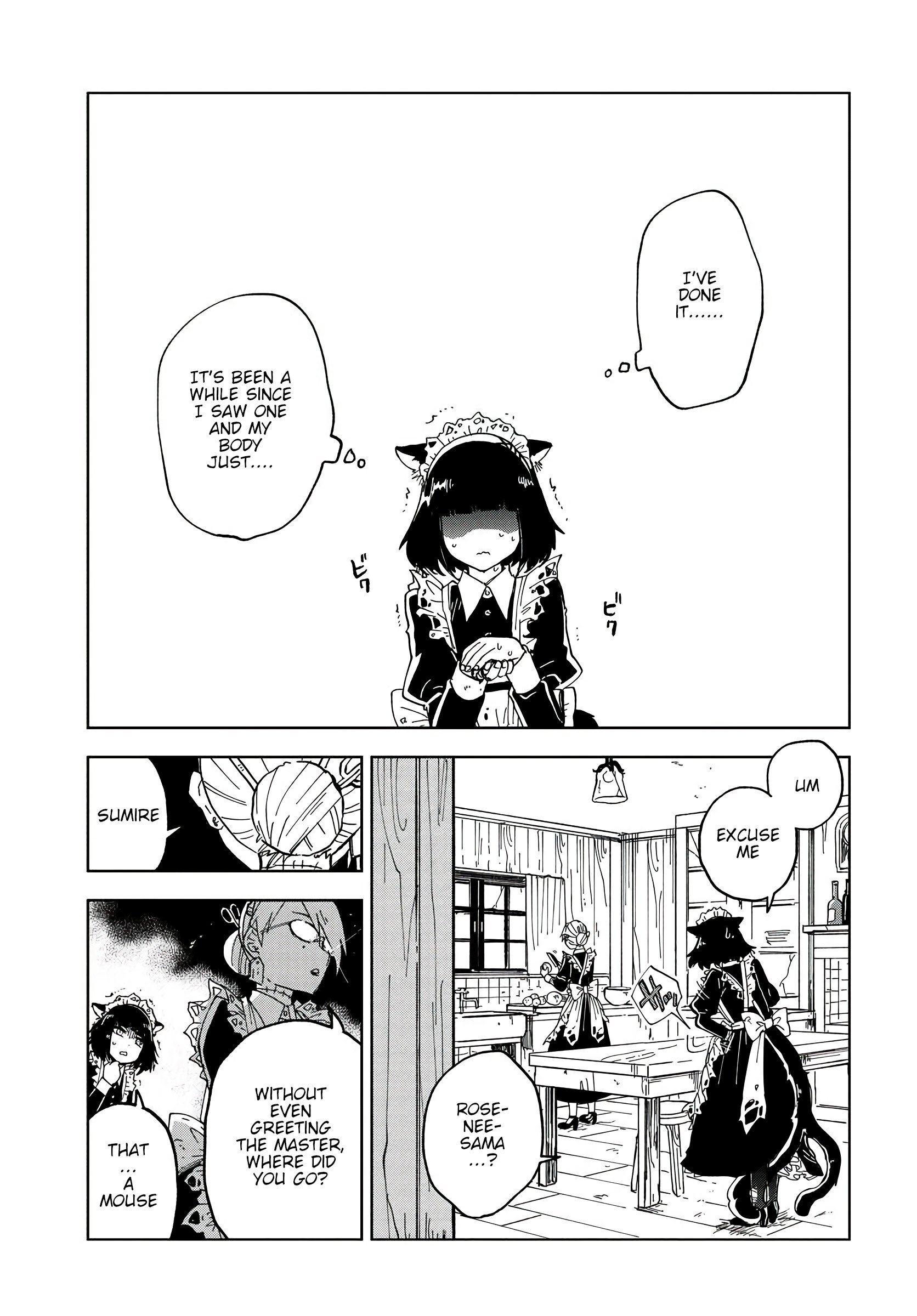 The Splendid Job Of A Monster Maid The Black Cat and the White Mouse 第13页