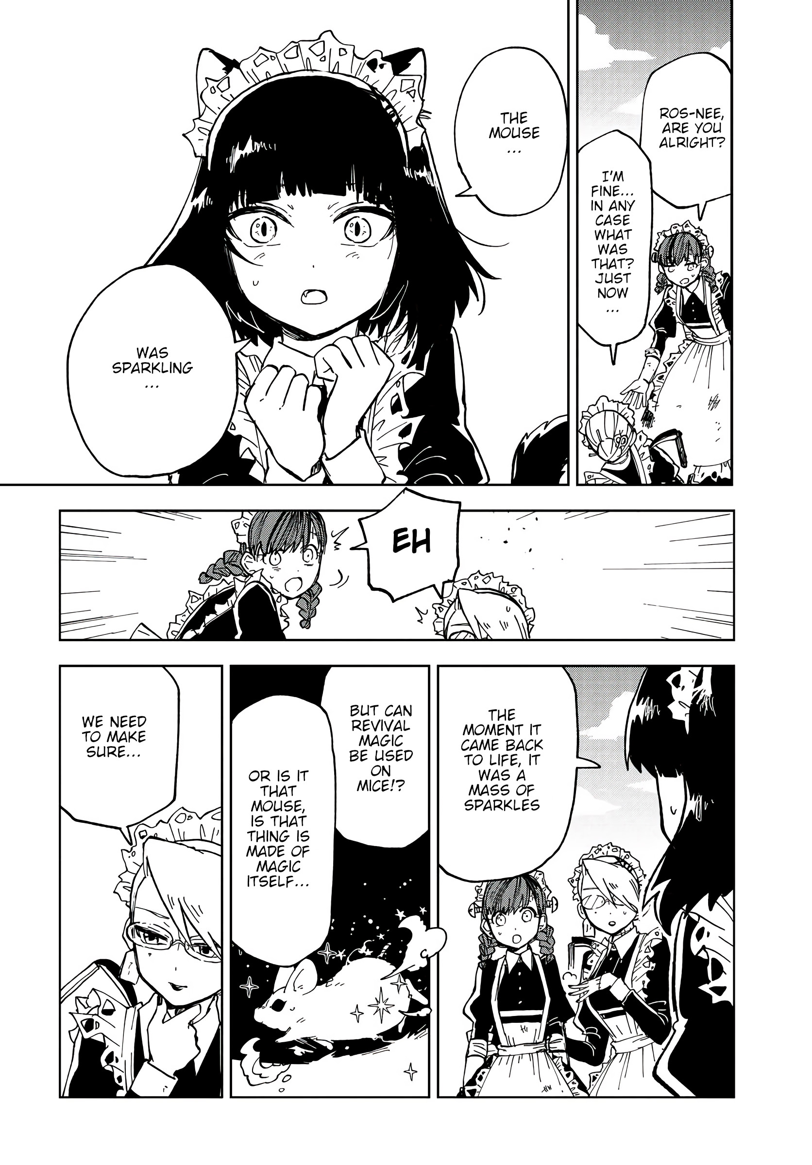 The Splendid Job Of A Monster Maid The Black Cat and the White Mouse 第20页