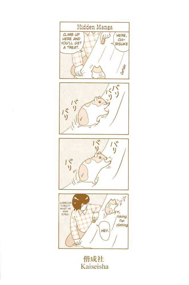 Hamster Research Report 第4页
