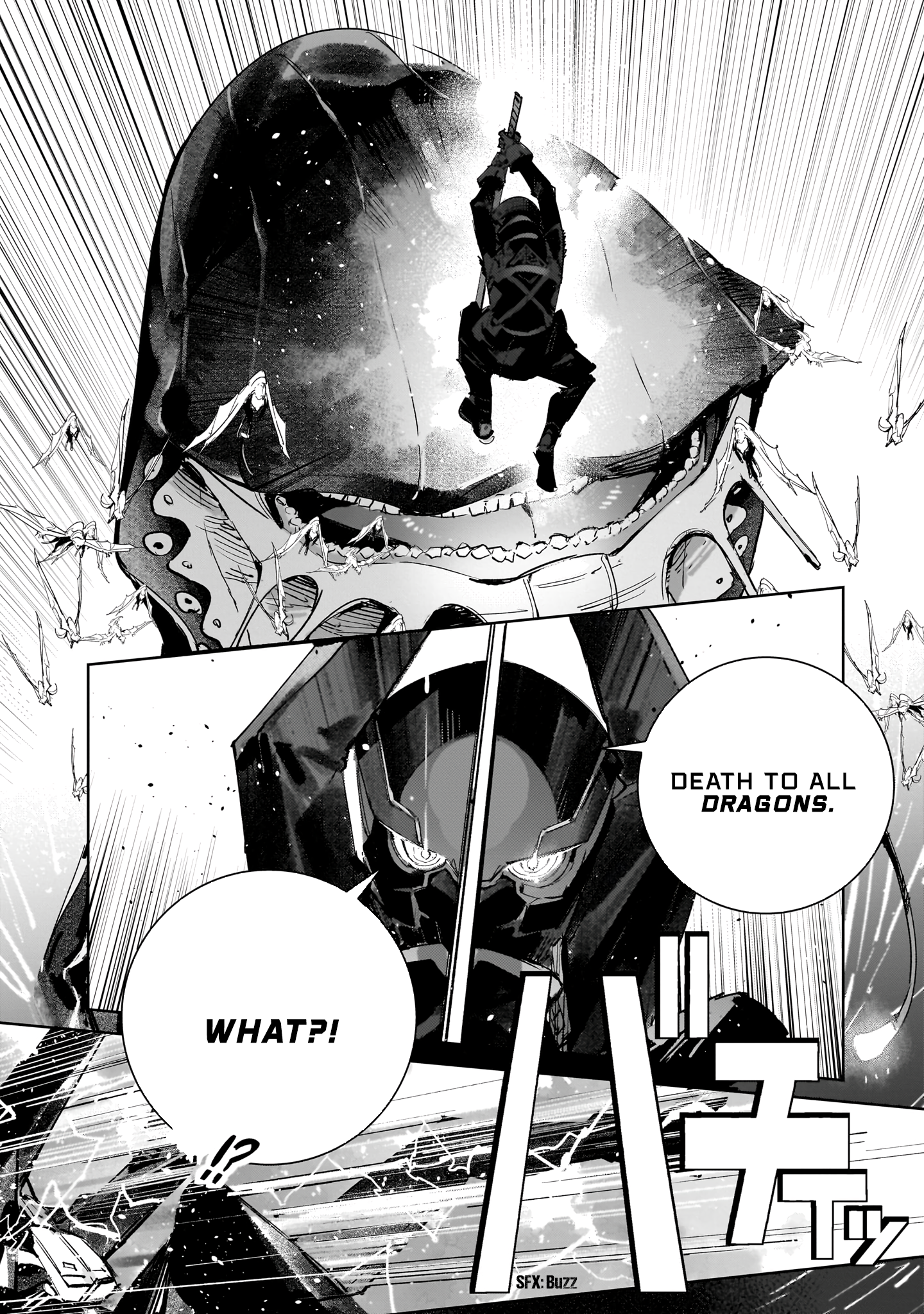 DRAGON CIRCUS Rookie 第28页