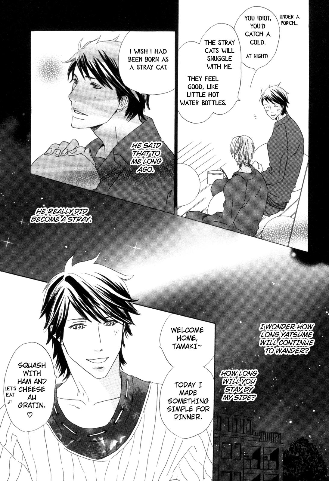 Ningen no Ichiban Muboubi na Bubun Strays Will Leave, Over and Over Again 第11页