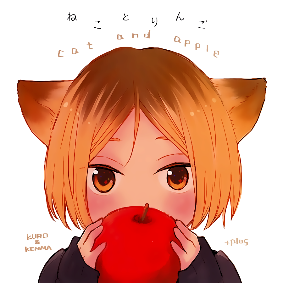Haikyu!! - Neko to Ringo (Doujinshi) Oneshot 第1页