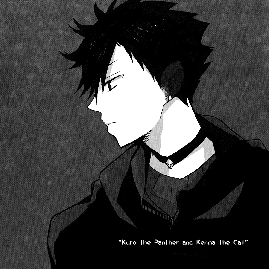 Haikyu!! - Neko to Ringo (Doujinshi) Oneshot 第18页