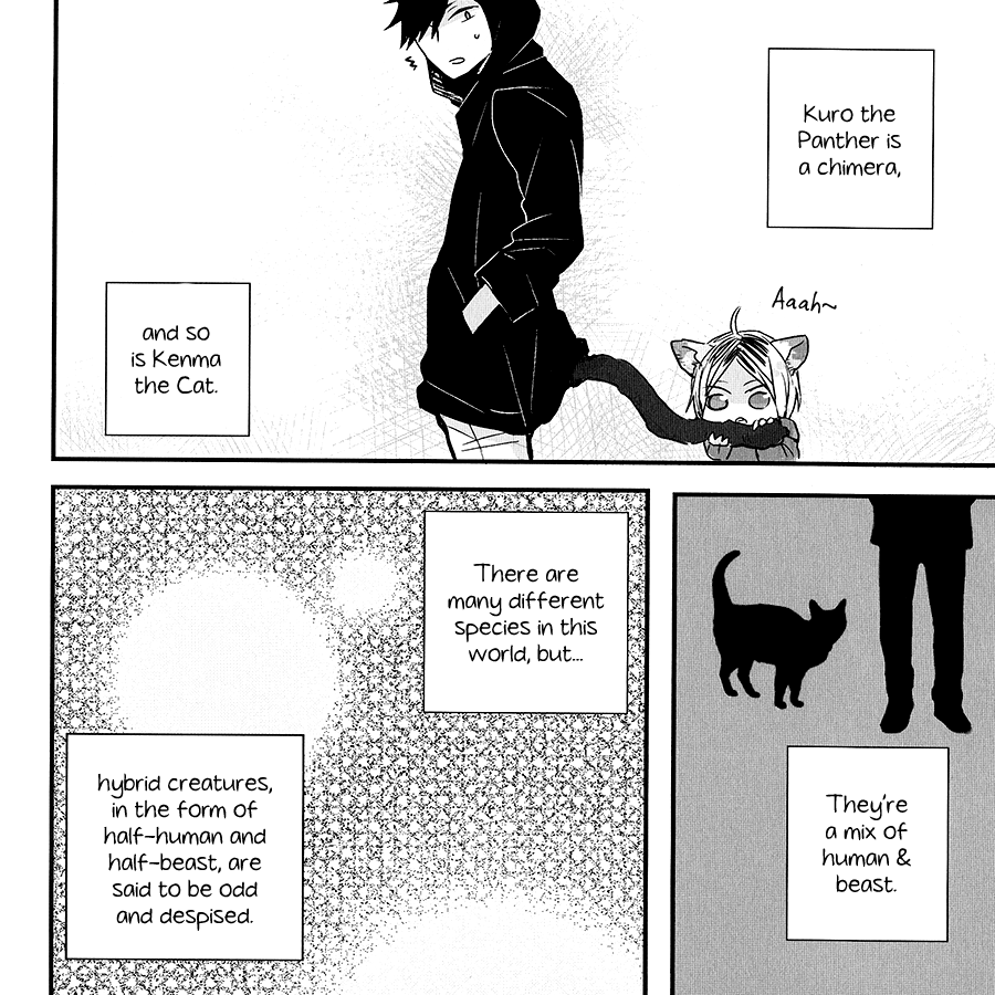 Haikyu!! - Neko to Ringo (Doujinshi) Oneshot 第19页