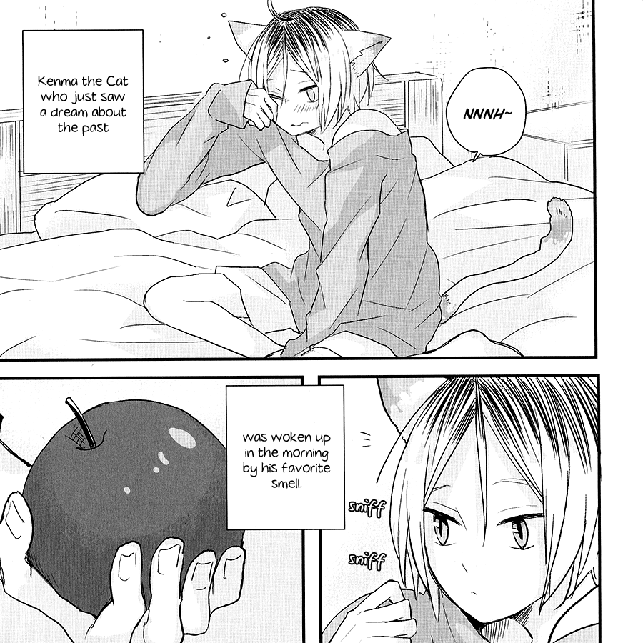 Haikyu!! - Neko to Ringo (Doujinshi) Oneshot 第28页