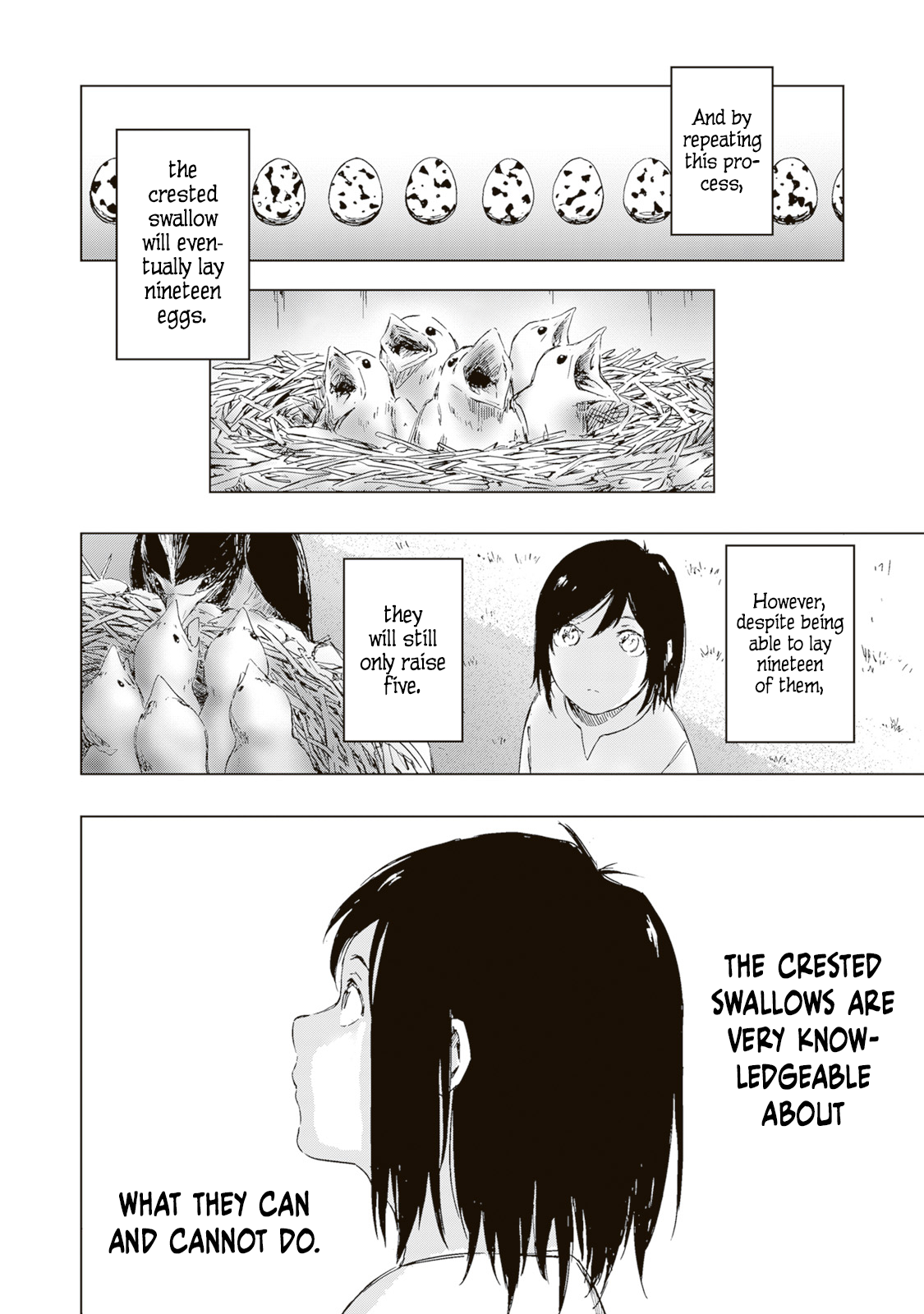 The Crown of Rutile Quartz 第6页