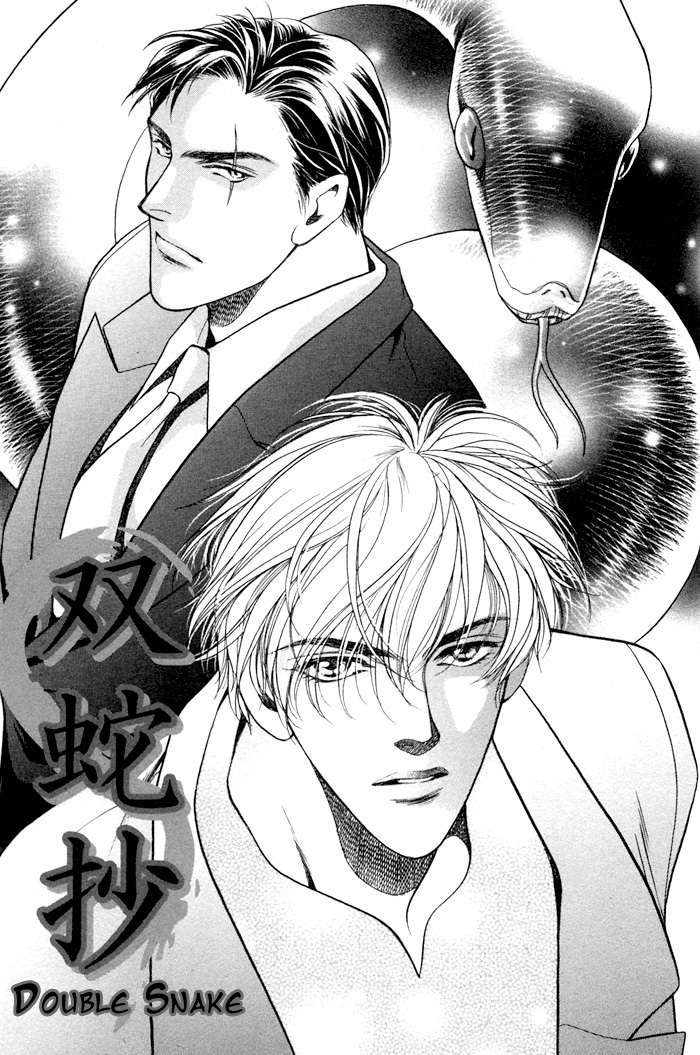 Double Snake 第2页