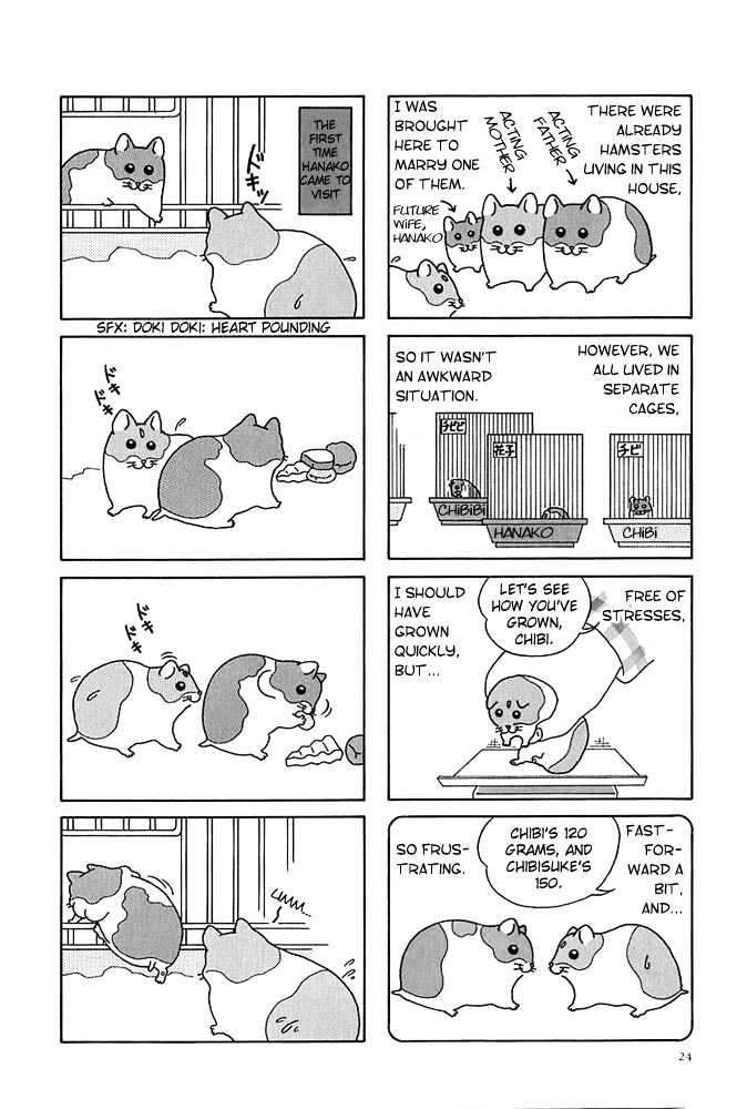 Hamster Research Report A Hamster Tale 第2页