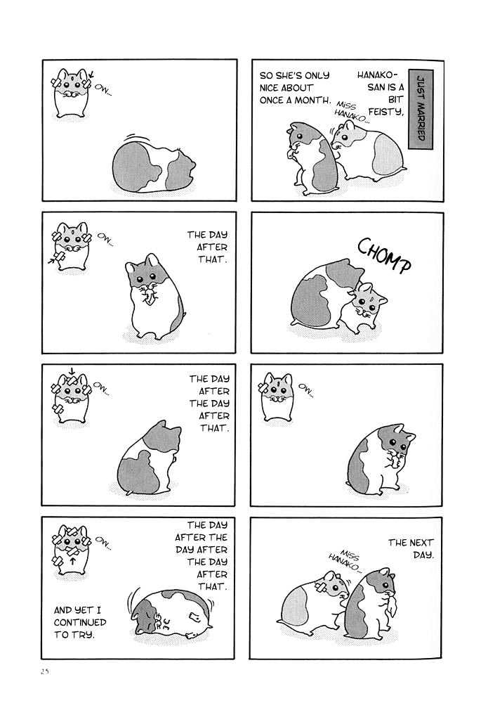 Hamster Research Report A Hamster Tale 第3页