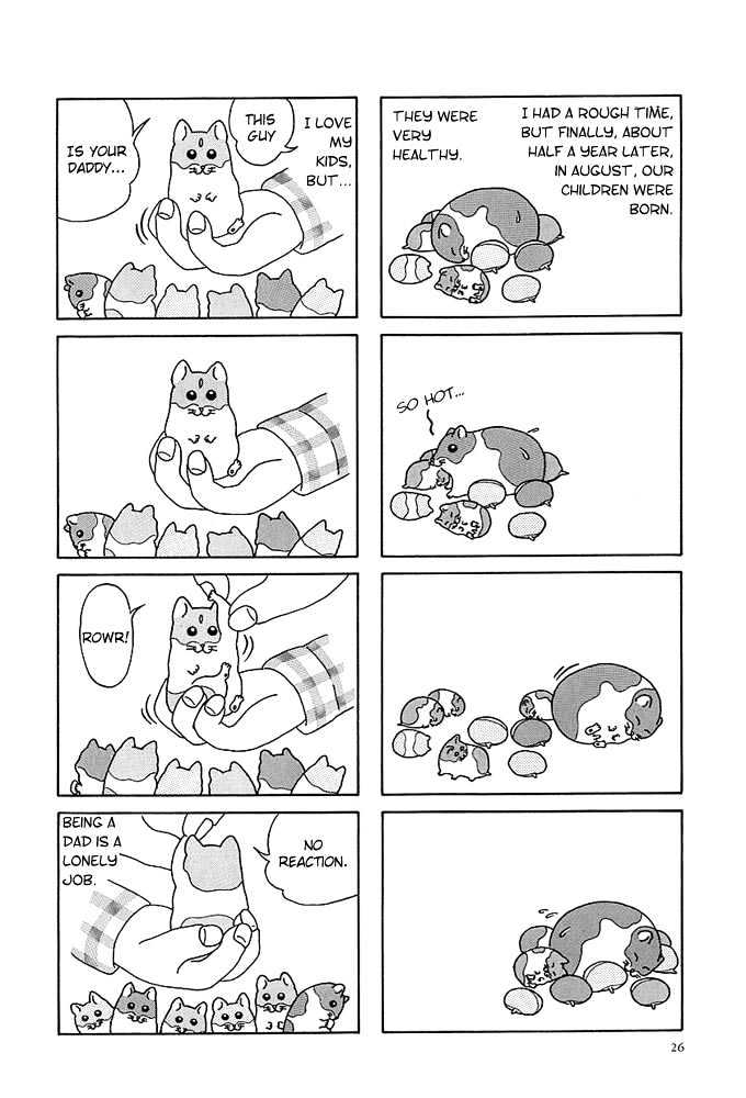 Hamster Research Report A Hamster Tale 第4页