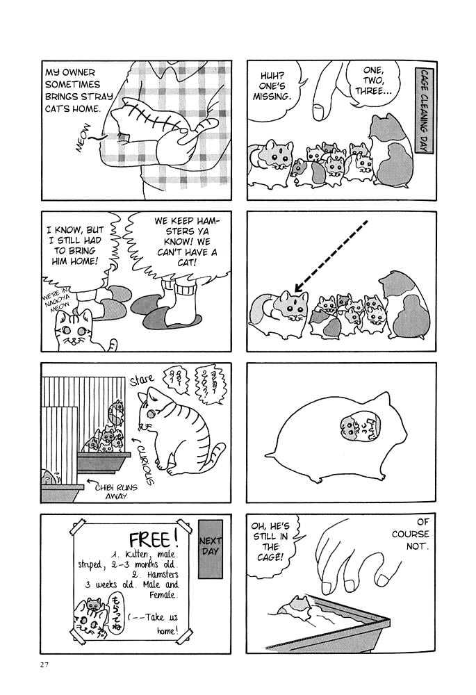 Hamster Research Report A Hamster Tale 第5页
