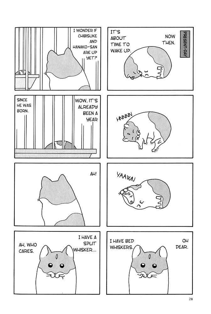 Hamster Research Report A Hamster Tale 第6页