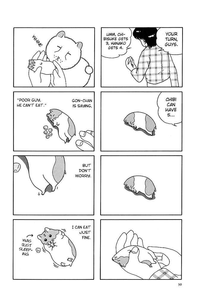 Hamster Research Report A Hamster Tale 第8页