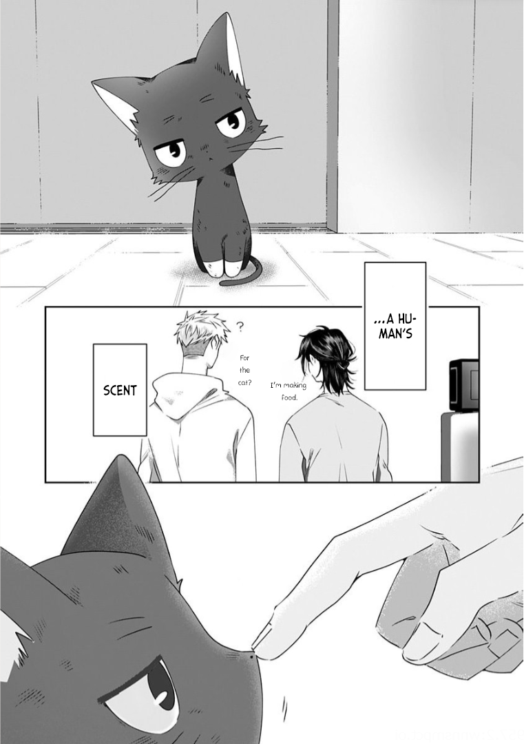 Neko ni wa Neko no Neko Gohan Vol. 2 Ch. 4 第3页