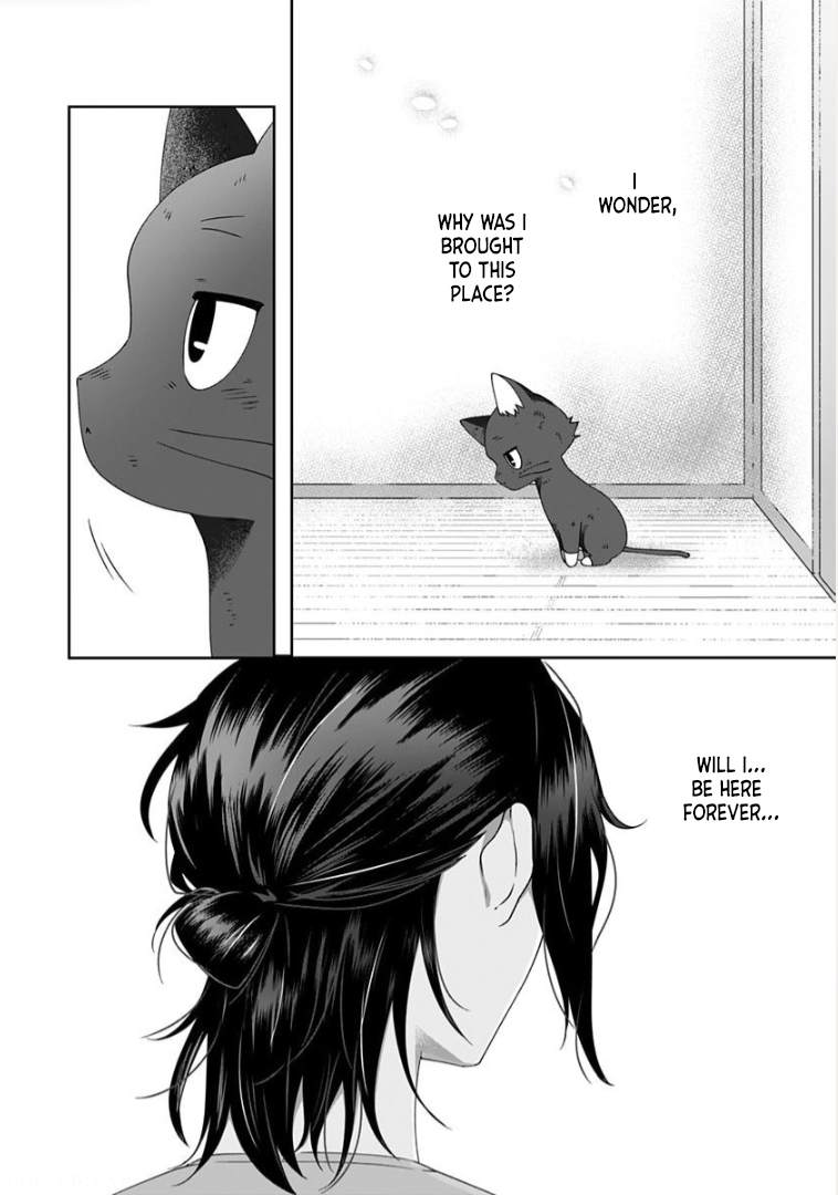 Neko ni wa Neko no Neko Gohan Vol. 2 Ch. 4 第4页