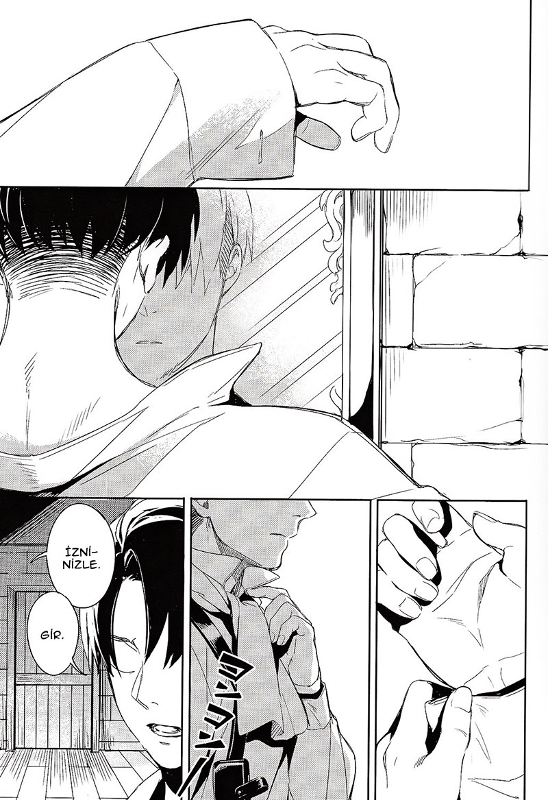 Shingeki no Kyojin - Levi Shiri (Doujinshi) 第4页