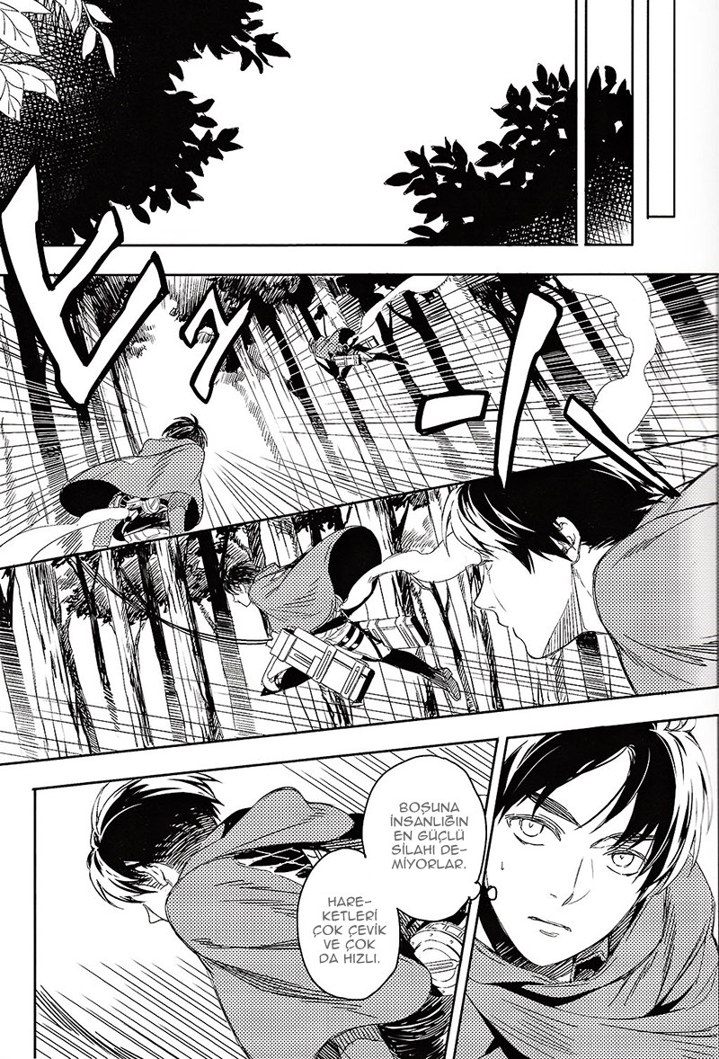 Shingeki no Kyojin - Levi Shiri (Doujinshi) 第8页