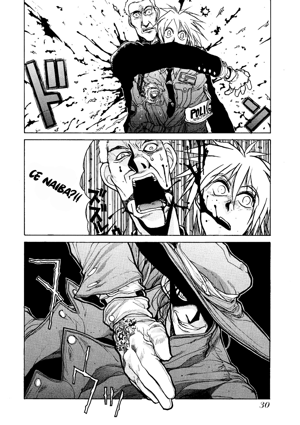 Hellsing Vânător de vampiri 第29页