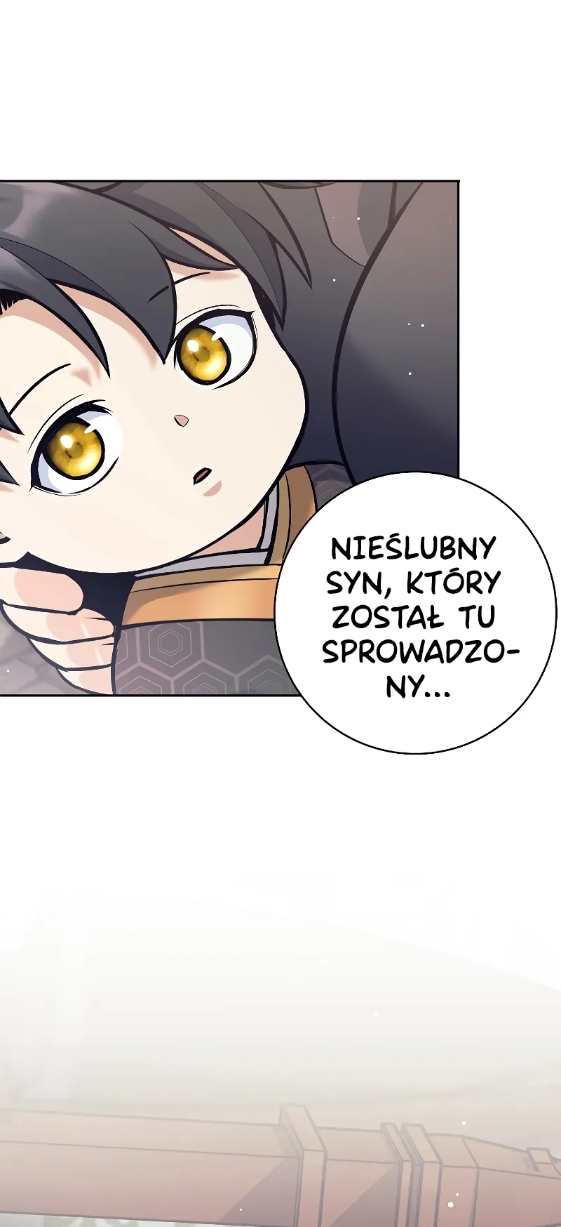 The Illegitimate Who Devours Weapons Ch. 2 第49页
