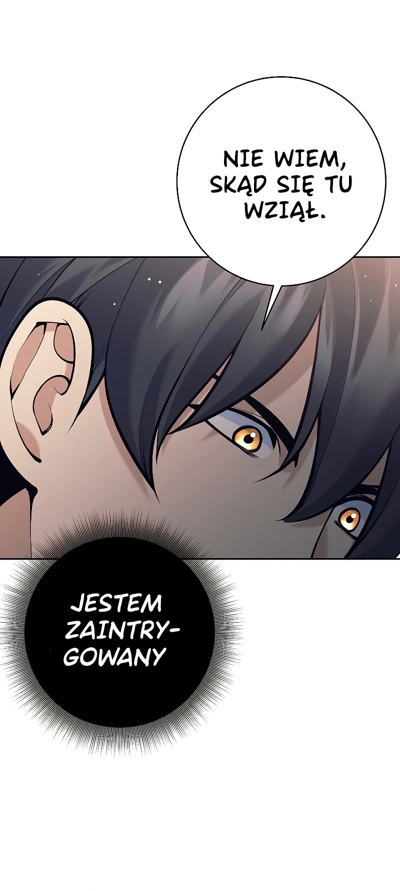 The Illegitimate Who Devours Weapons Ch. 2 第55页