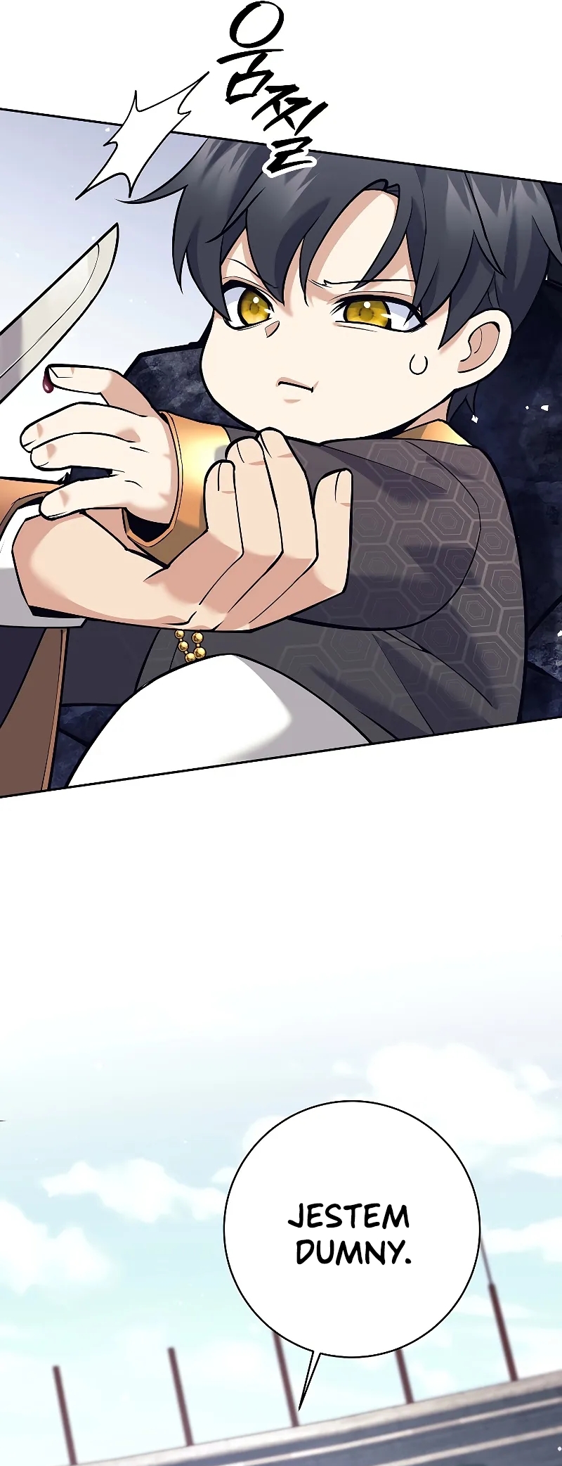 The Illegitimate Who Devours Weapons Ch. 2 第74页