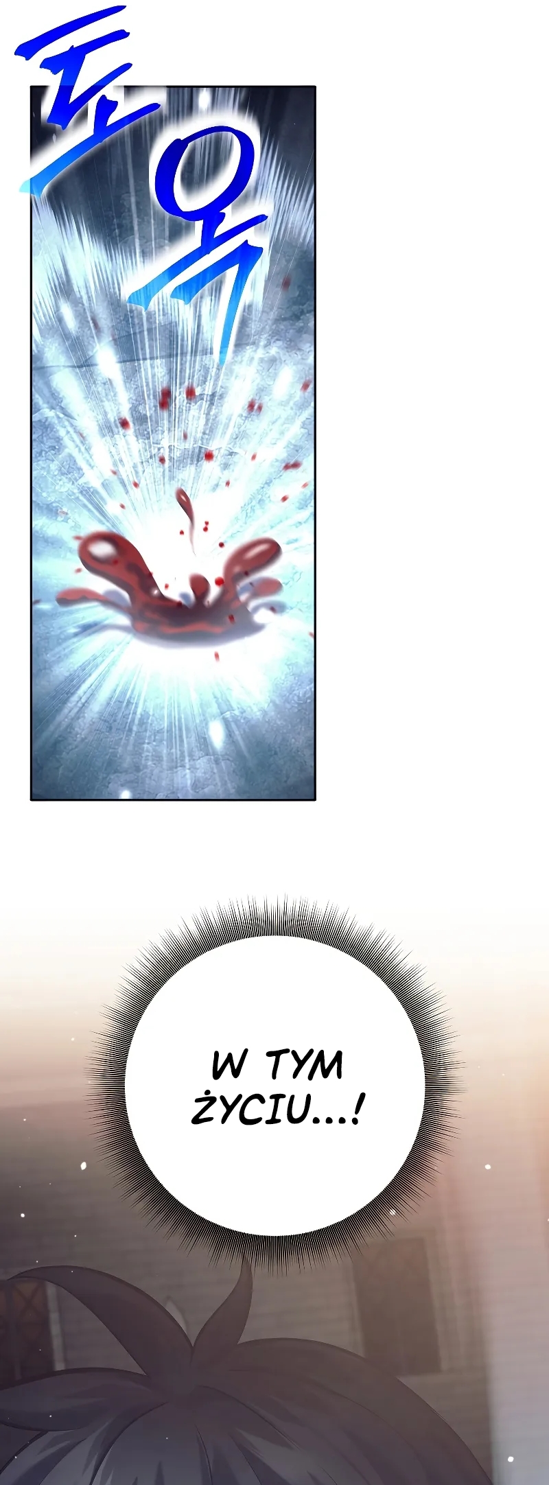The Illegitimate Who Devours Weapons Ch. 2 第79页