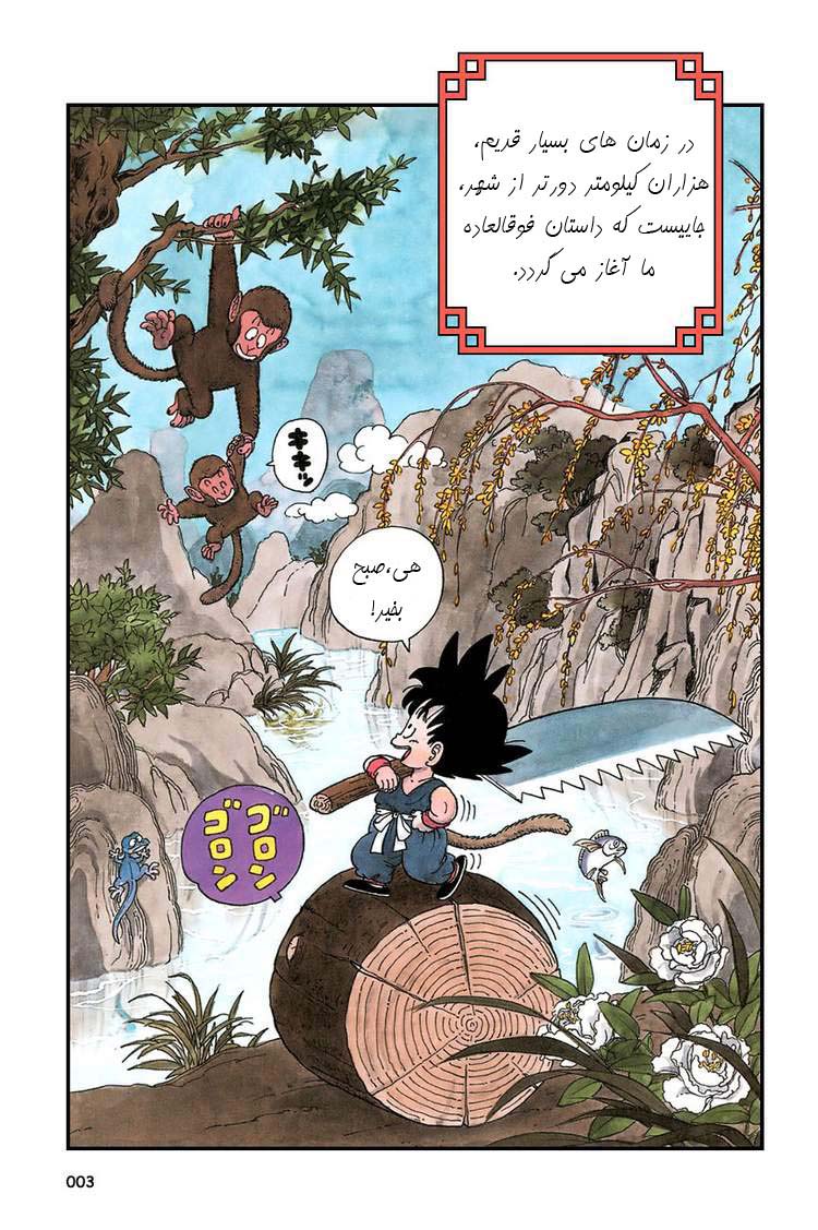 Dragon Ball 第2页