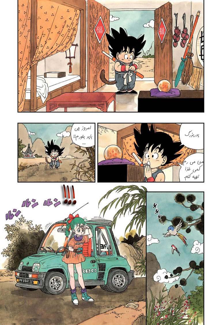 Dragon Ball 第6页