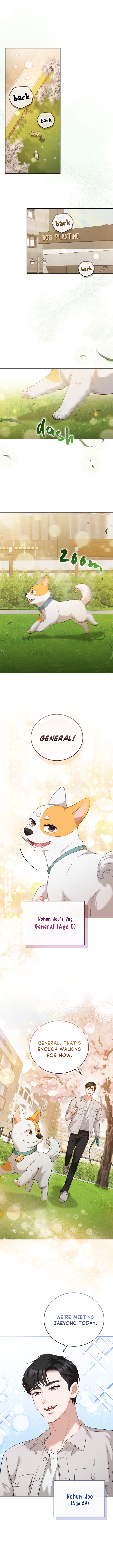 Doggy Romance 第8页