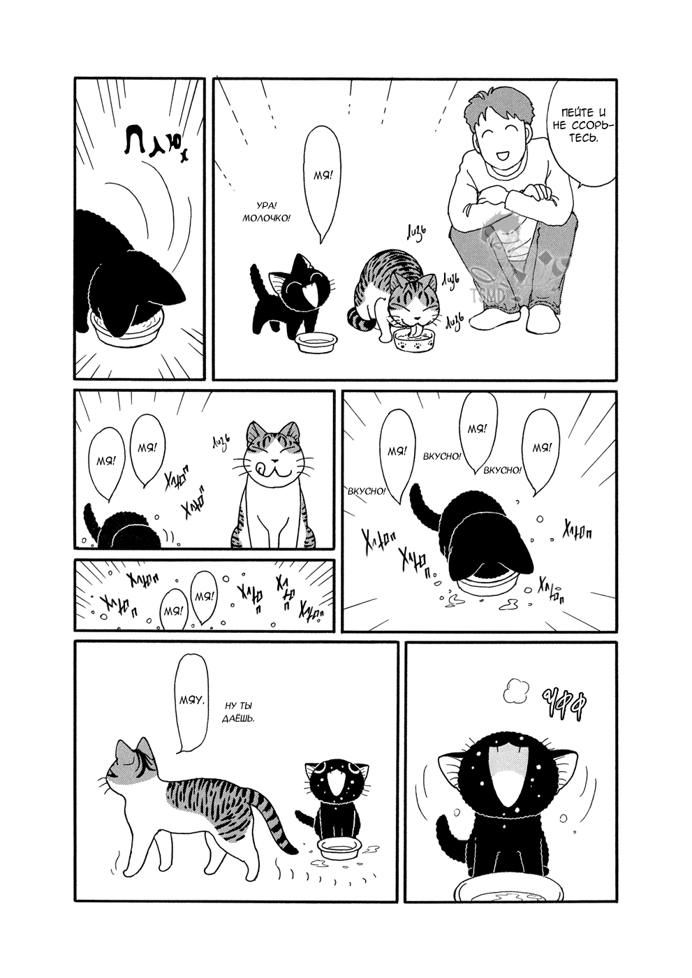 Suu to Tai-chan Мытьё мордочки по-кошачьи – базовые принципы 第3页