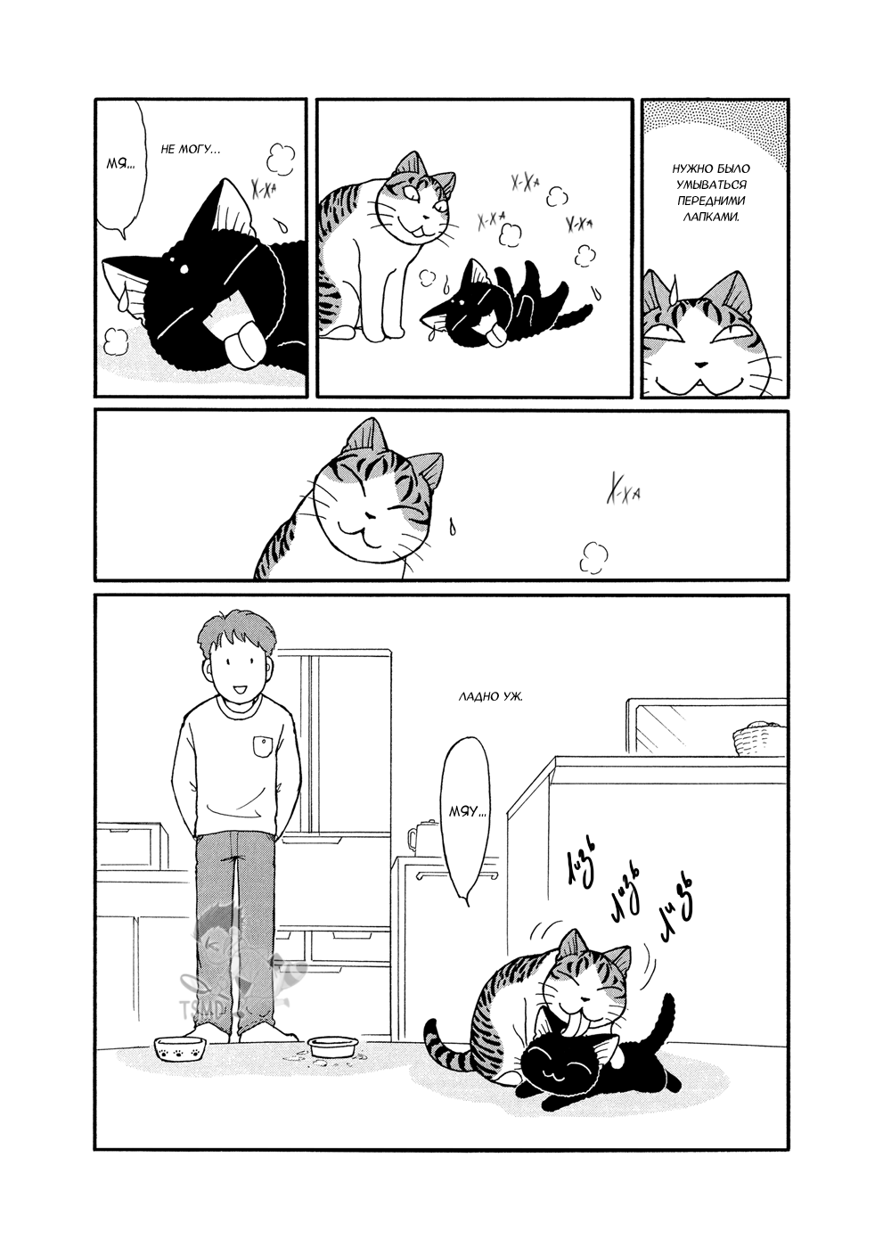 Suu to Tai-chan Мытьё мордочки по-кошачьи – базовые принципы 第7页