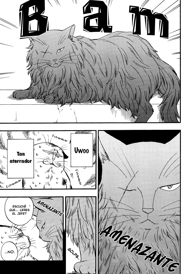 Ore wa Busamen - Neko Tsudzuri Vol. 1 Ch. 5 第5页