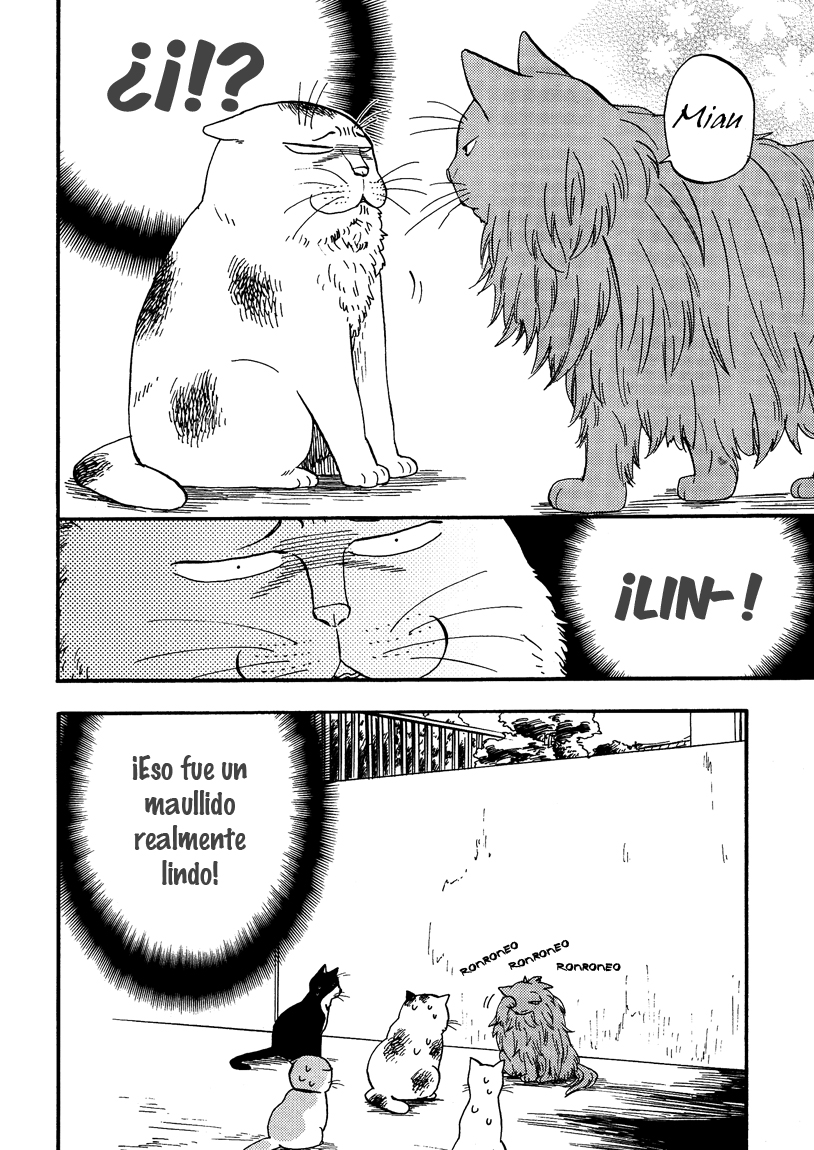 Ore wa Busamen - Neko Tsudzuri Vol. 1 Ch. 5 第8页