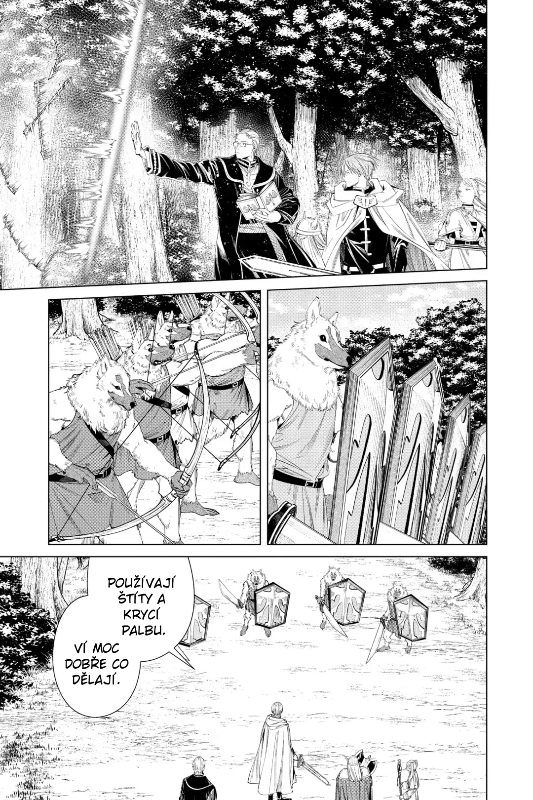 Sousou no Frieren Ozbrojený doprovod 第12页