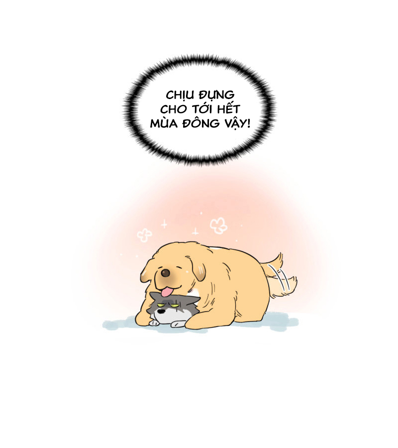 The Wolf That Picked Something Up Mùa đông đầu tiên sau khi gặp nhau 第8页