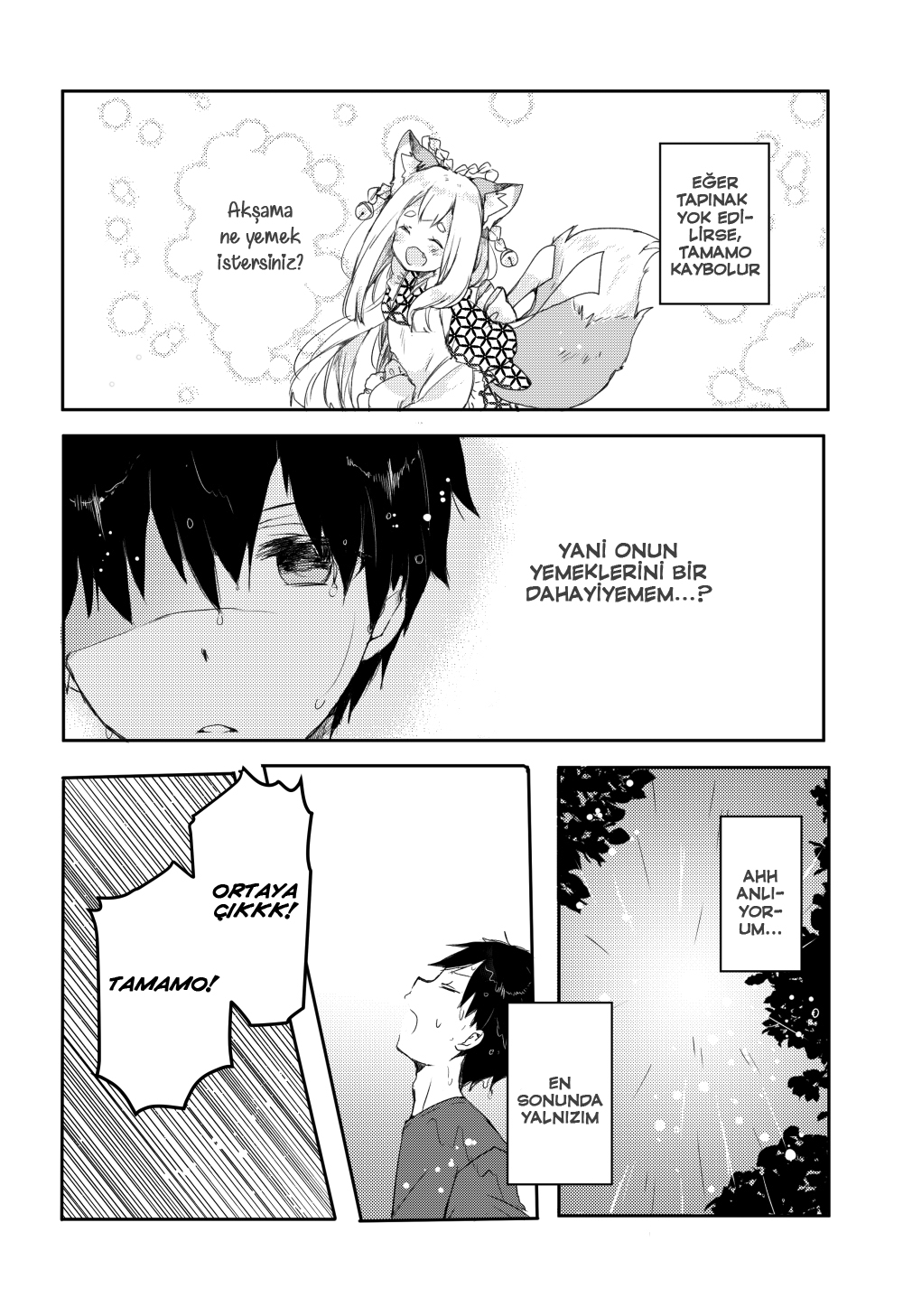 Tamamo no Koi Vol. 1 Ch. 0 第28页