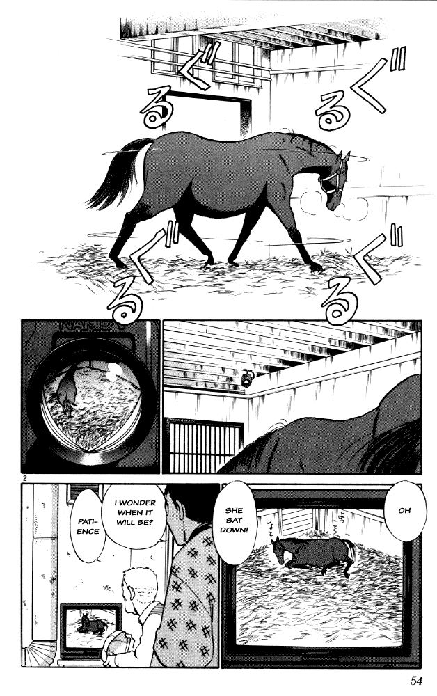 Vicious Horse Grooming ★ Up! The Inviting Wind of Spring 第2页