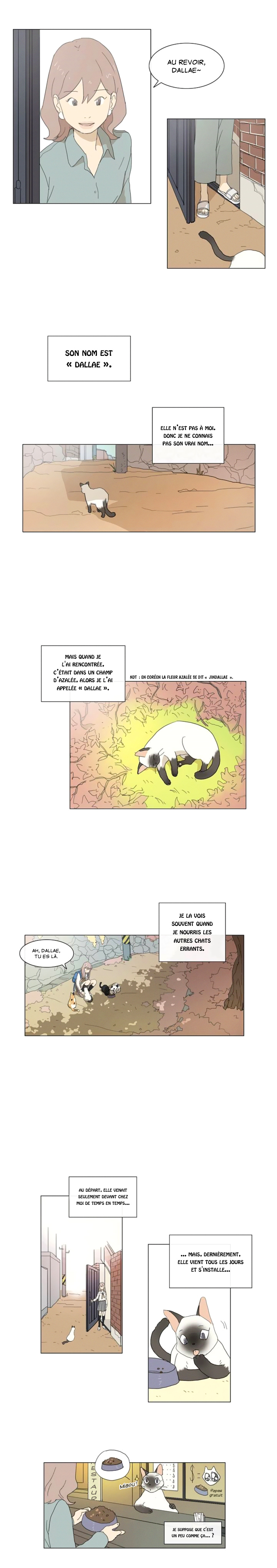 Dallae 第8页