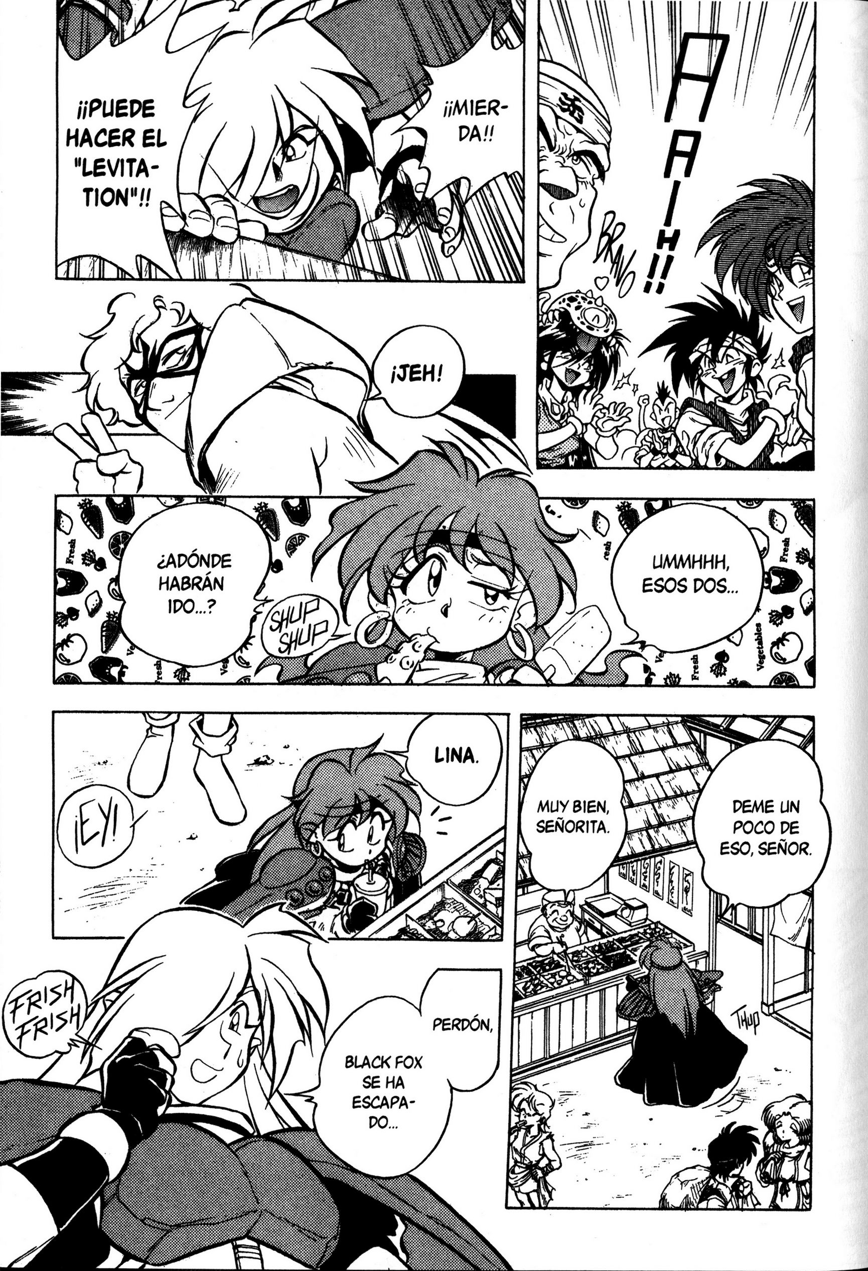 Slayers El misterioso ladrón negro 第15页
