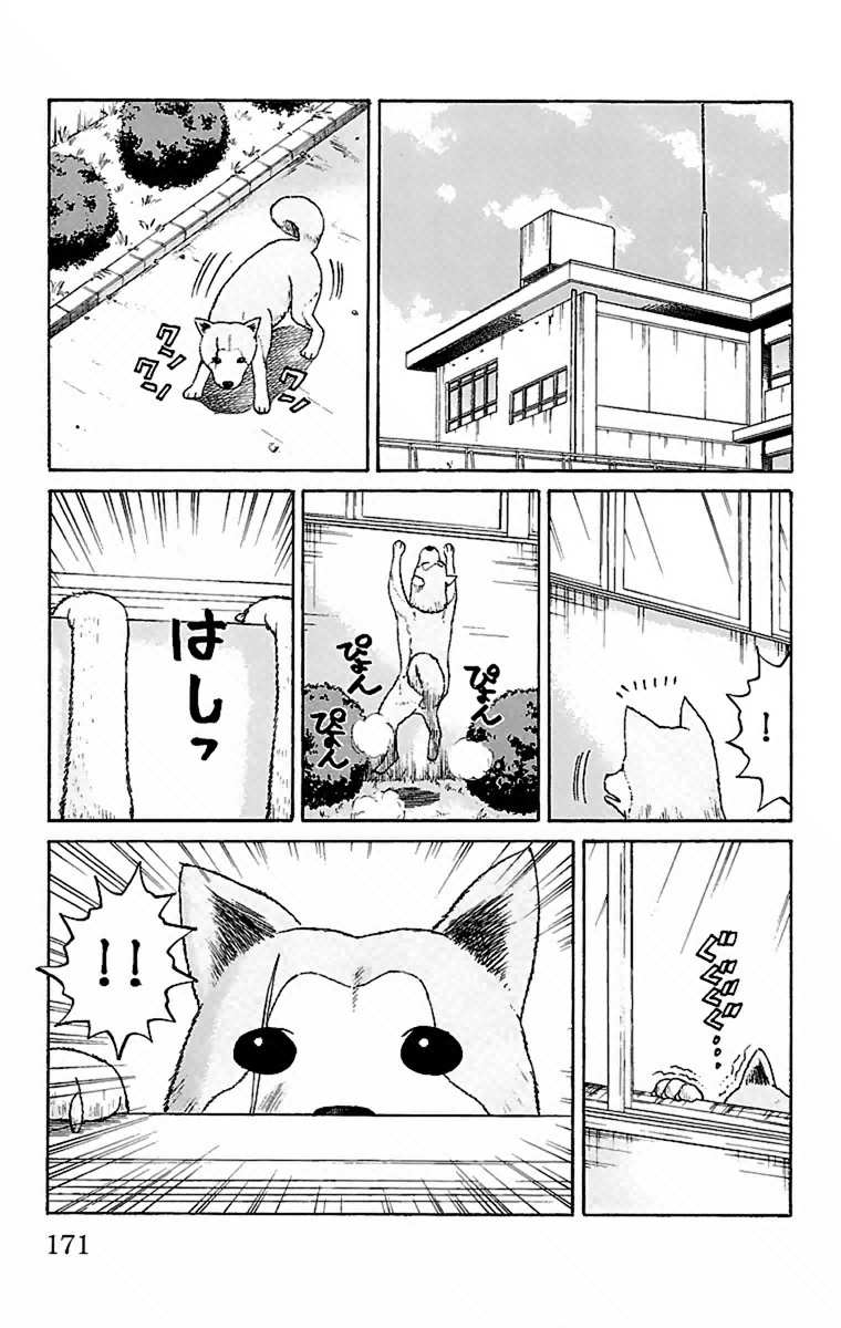 Nanba MG5 Aniki's Secret 第19页