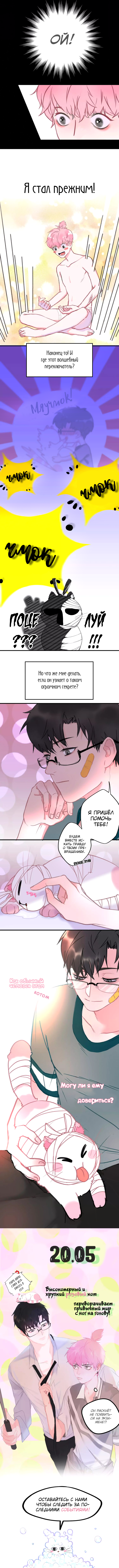 A Cat's World Vol. 1 Ch. 0 第4页